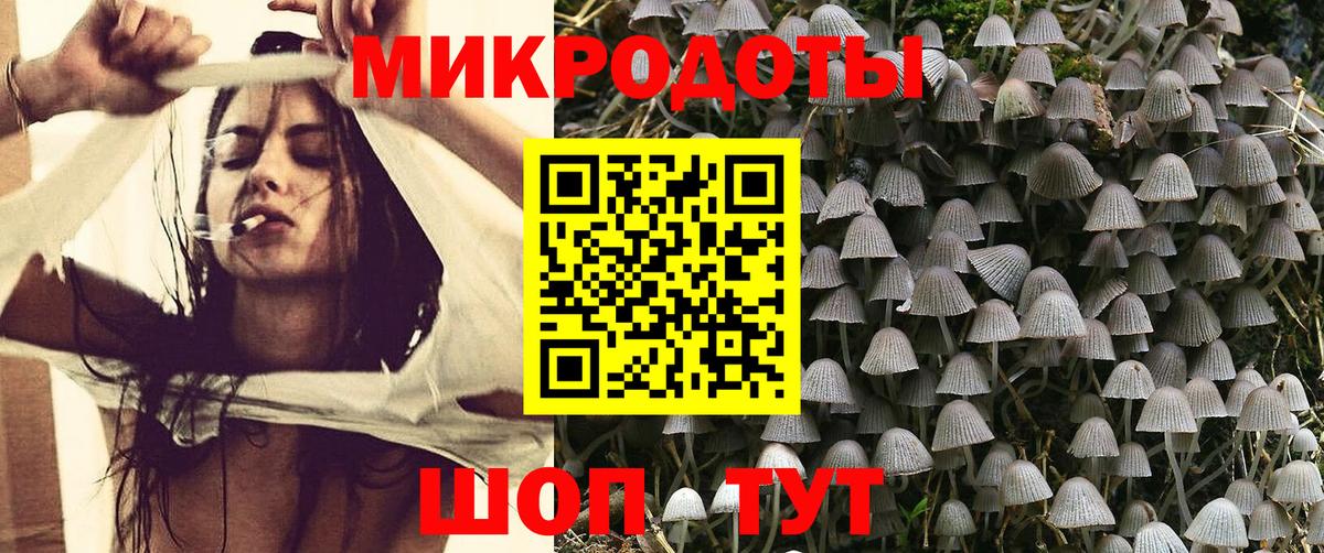 Псилоцибиновые грибы прущие грибы Саранск