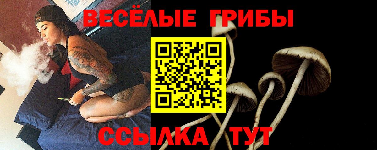 Галлюциногенные грибы Cubensis  Псилоцибиновые грибы мицелий  Саранск  Вход с VPN 